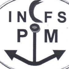 logo insfpm